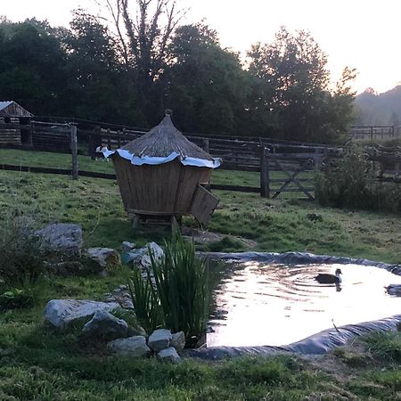 Le Champ Des Possibles Bed and Breakfast Manerbe Esterno foto