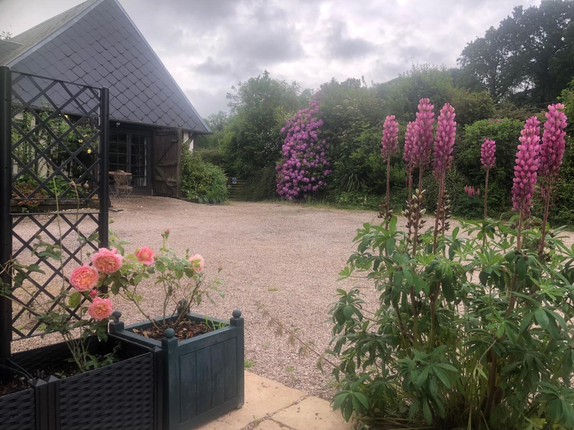 Le Champ Des Possibles Bed and Breakfast Manerbe Esterno foto