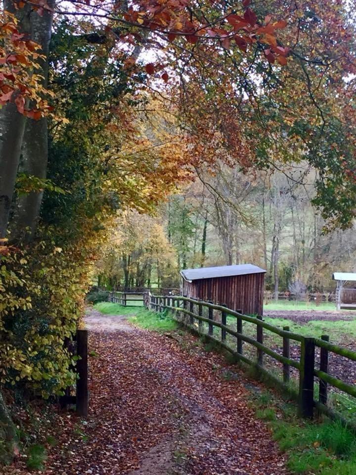 Le Champ Des Possibles Bed and Breakfast Manerbe Esterno foto