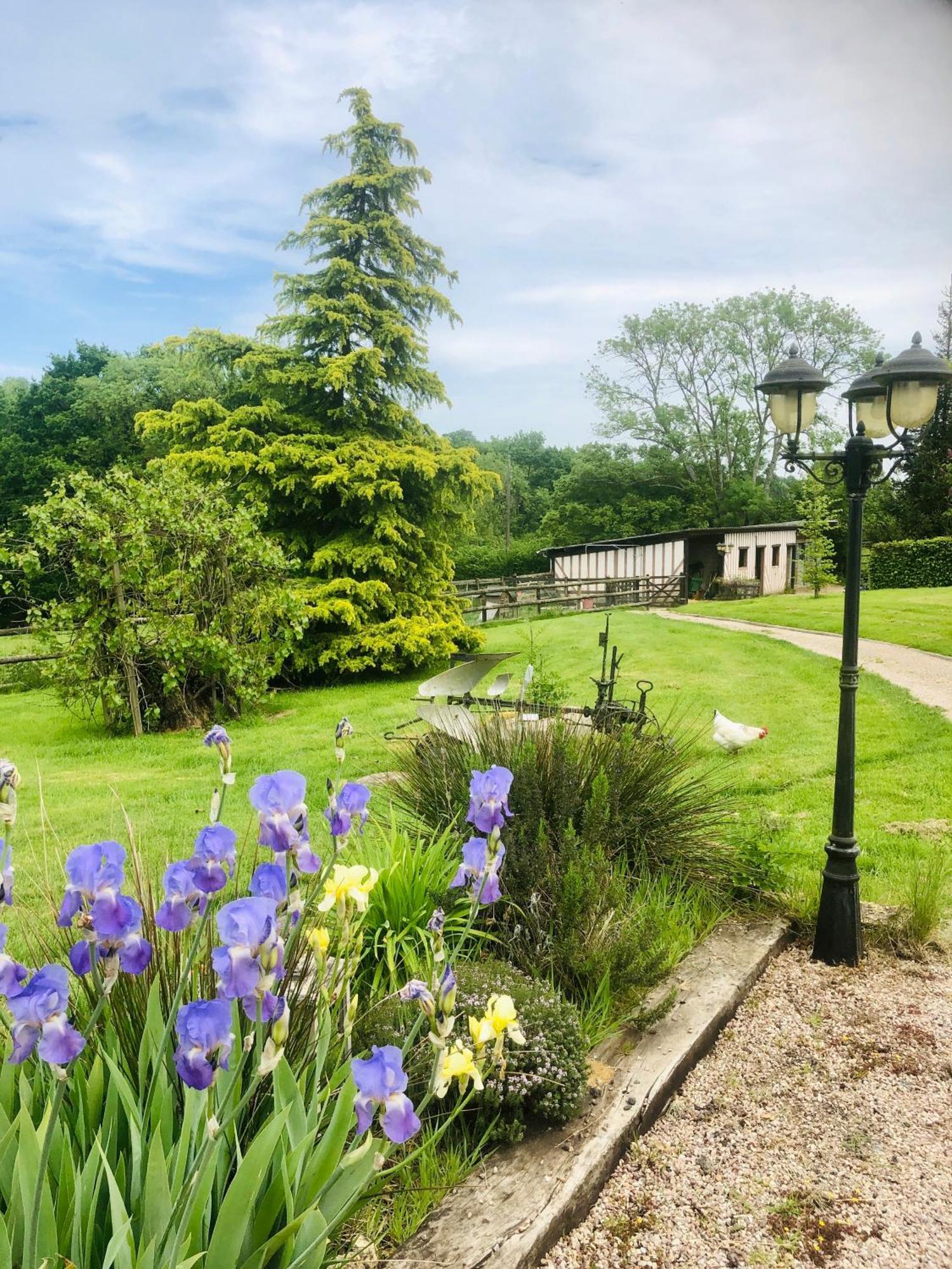 Le Champ Des Possibles Bed and Breakfast Manerbe Esterno foto