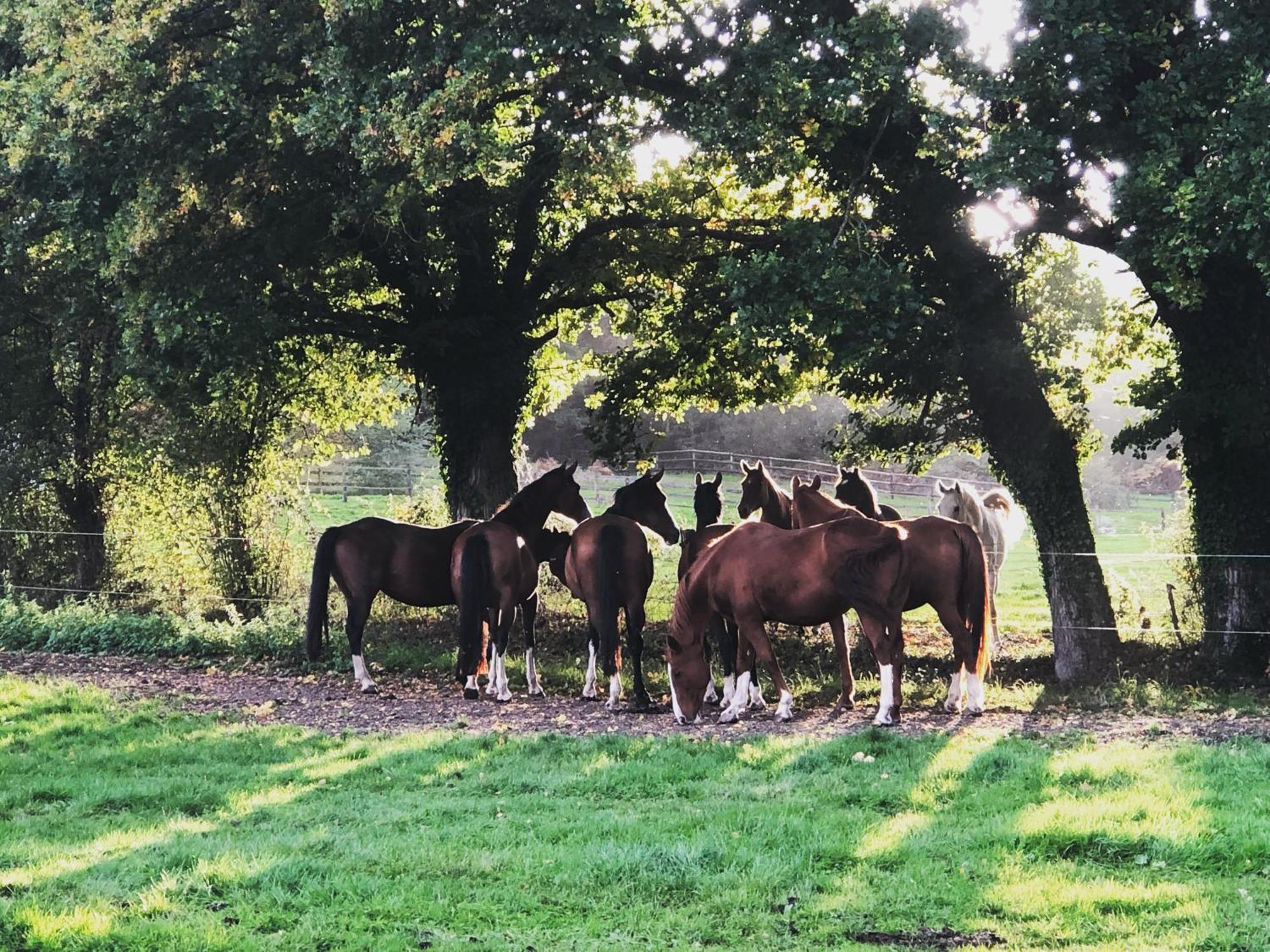 Le Champ Des Possibles Bed and Breakfast Manerbe Esterno foto