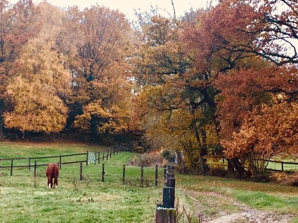 Le Champ Des Possibles Bed and Breakfast Manerbe Esterno foto