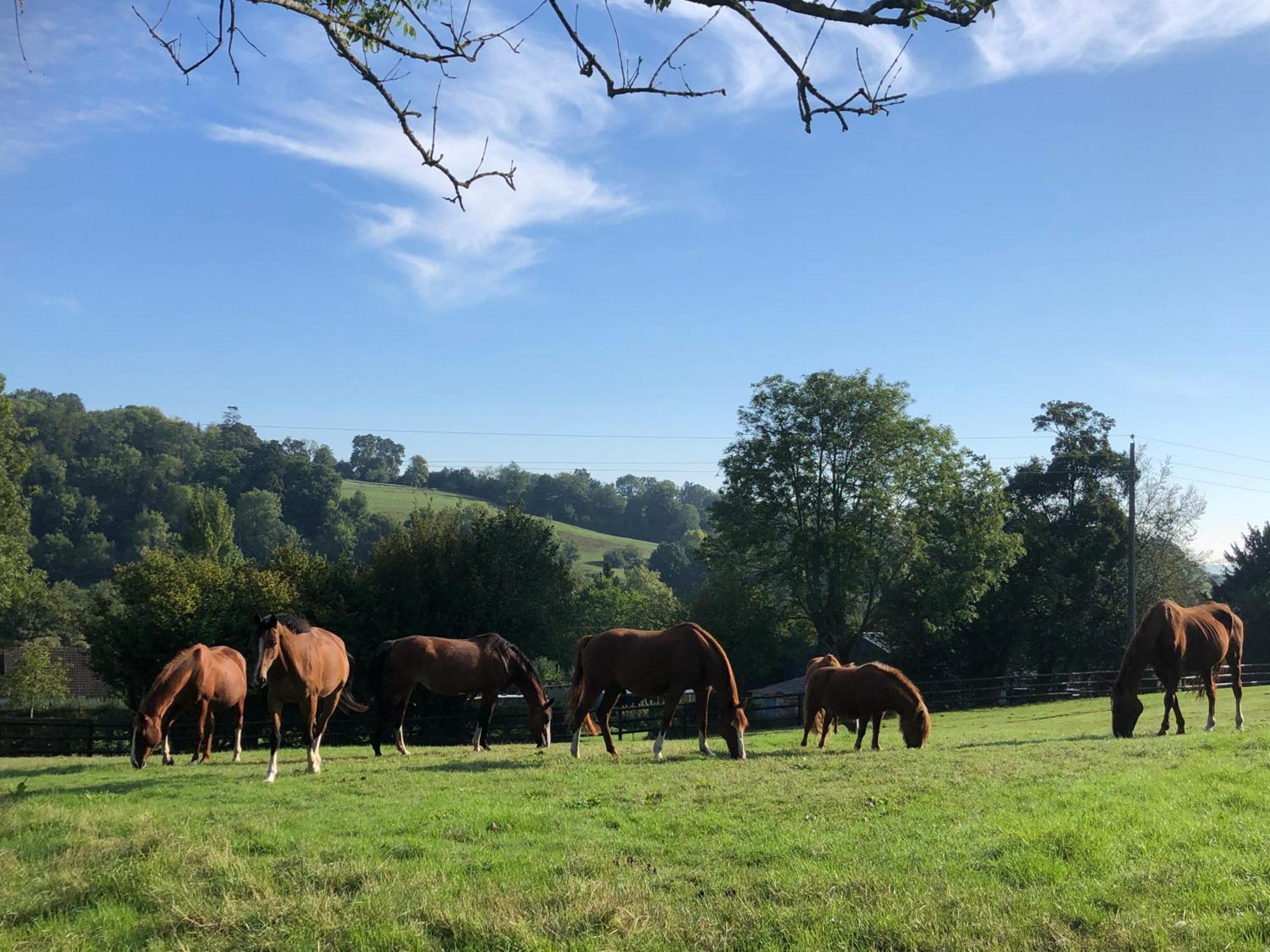 Le Champ Des Possibles Bed and Breakfast Manerbe Esterno foto