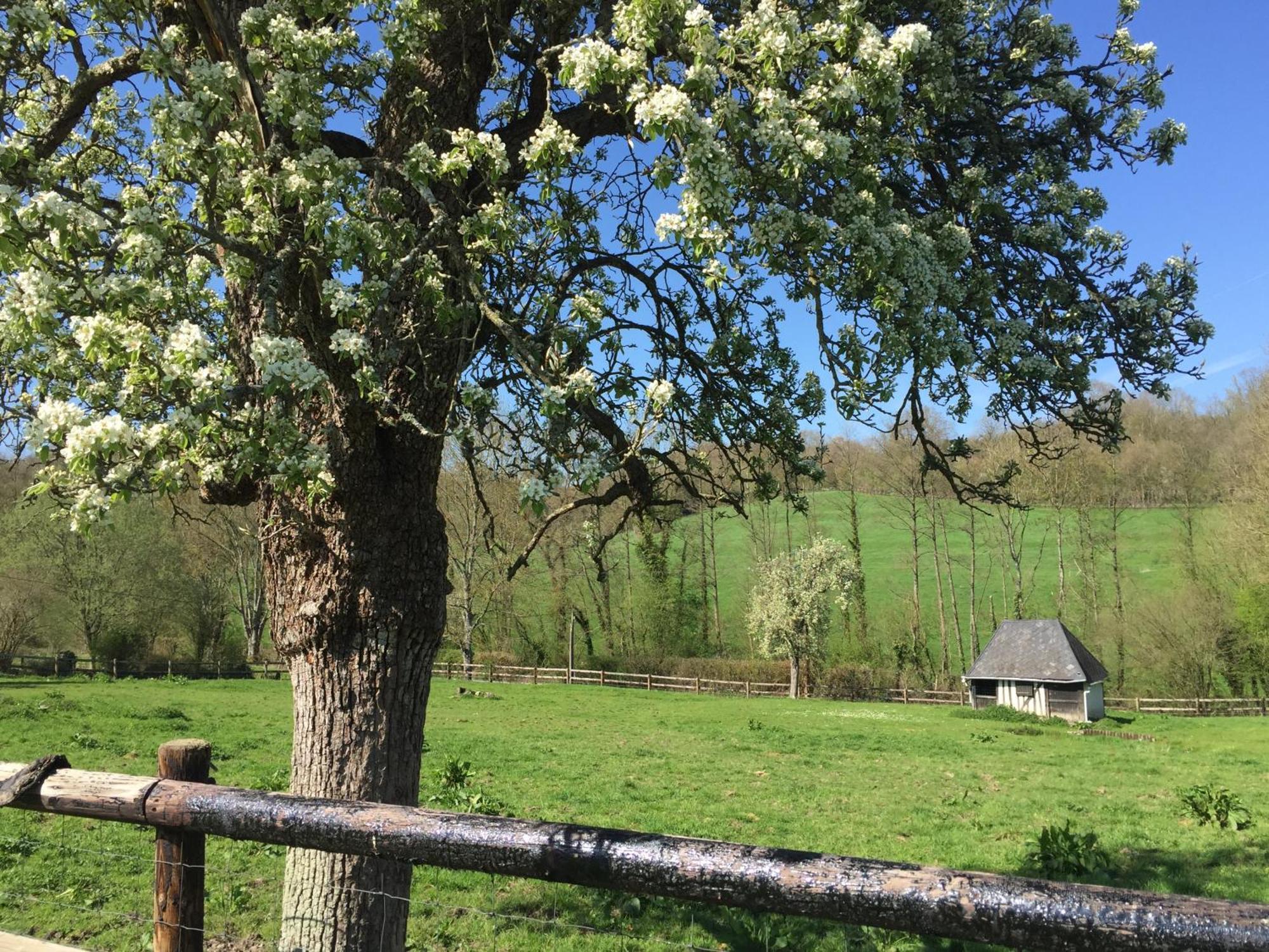 Le Champ Des Possibles Bed and Breakfast Manerbe Esterno foto