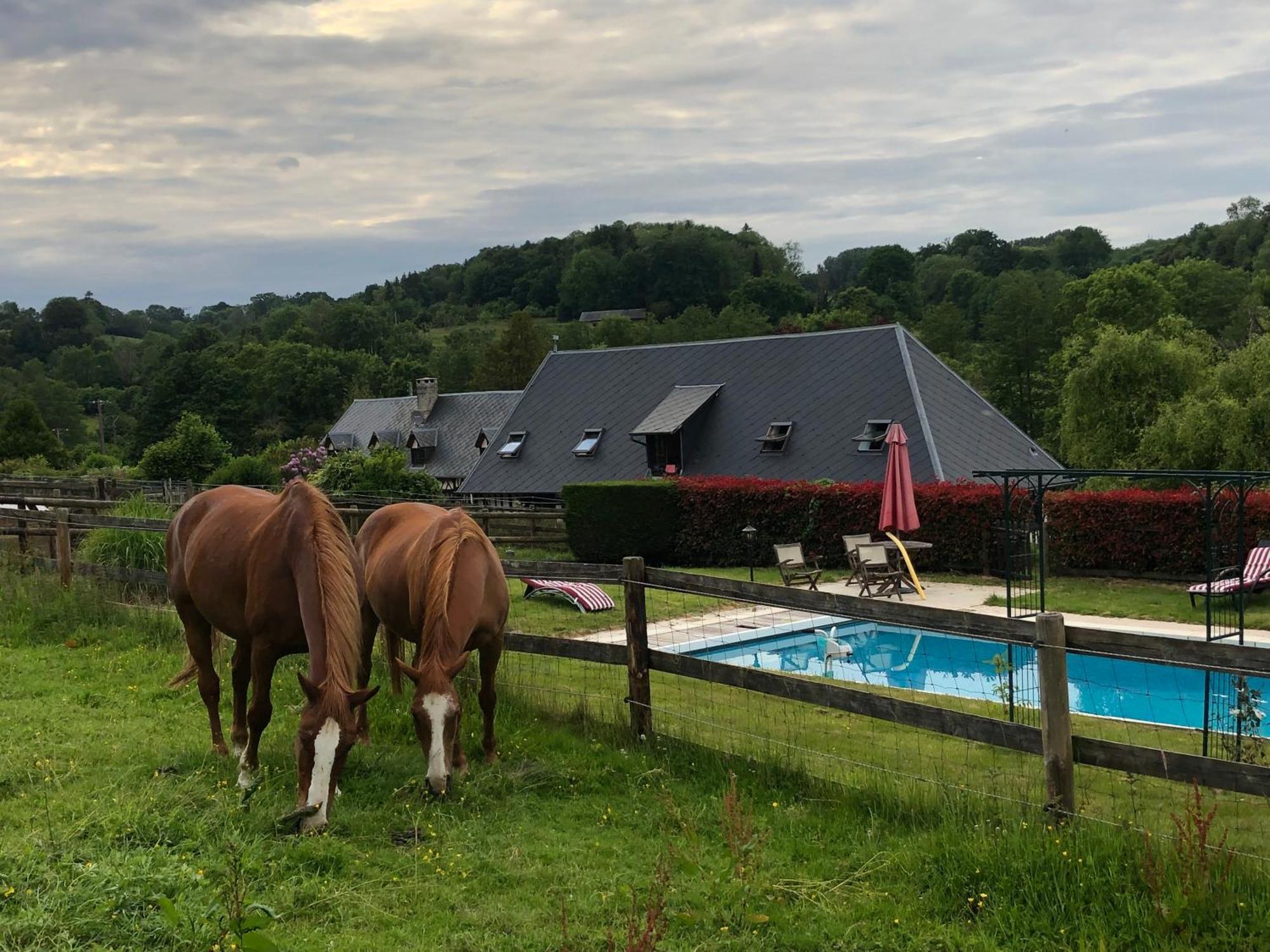 Le Champ Des Possibles Bed and Breakfast Manerbe Esterno foto